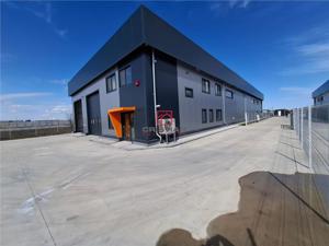 Inchiriere depozit hala spatiu industrial Chitila - Centura - Rudeni - imagine 2