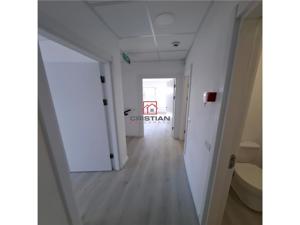 Inchiriere depozit hala spatiu industrial Chitila - Centura - Rudeni - imagine 14