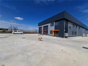 Inchiriere depozit hala spatiu industrial Chitila - Centura - Rudeni - imagine 6