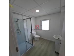 Inchiriere depozit hala spatiu industrial Chitila - Centura - Rudeni - imagine 20