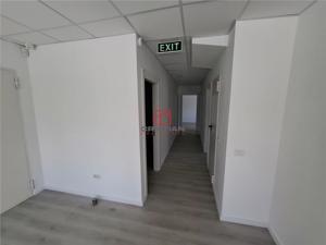 Inchiriere depozit hala spatiu industrial Chitila - Centura - Rudeni - imagine 13