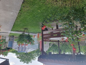 Casă de vânzare la țară  - imagine 10