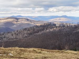 24 Ha - 240.000 mp, TEREN CU PEISAJ PANORAMIC SPECTACULOS in zona turistica montana BULZ - Bihor - imagine 9