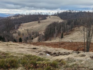 24 Ha - 240.000 mp, TEREN CU PEISAJ PANORAMIC SPECTACULOS in zona turistica montana BULZ - Bihor - imagine 14