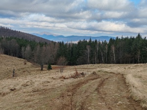 24 Ha - 240.000 mp, TEREN CU PEISAJ PANORAMIC SPECTACULOS in zona turistica montana BULZ - Bihor - imagine 5