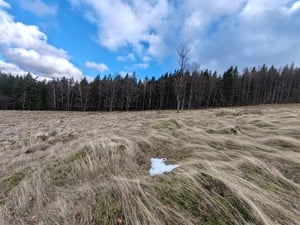 24 Ha - 240.000 mp, TEREN CU PEISAJ PANORAMIC SPECTACULOS in zona turistica montana BULZ - Bihor - imagine 3