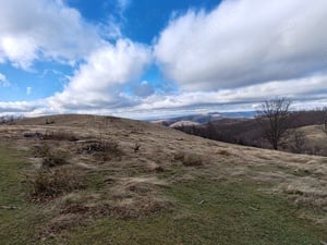 24 Ha - 240.000 mp, TEREN CU PEISAJ PANORAMIC SPECTACULOS in zona turistica montana BULZ - Bihor - imagine 15