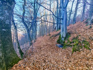 22.206 mp (2,2 Ha) teren INTRAVILAN SUPERB CU PEISAJ PANORAMIC, Muntii Apuseni, Negreni - Cluj - imagine 11