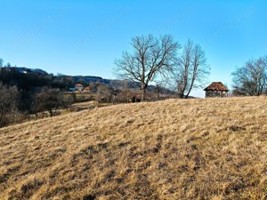 22.206 mp (2,2 Ha) teren INTRAVILAN SUPERB CU PEISAJ PANORAMIC, Muntii Apuseni, Negreni - Cluj - imagine 17