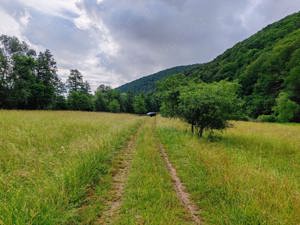 2,8 Ha TEREN SUPERB CU PARAU pe malul Raului Crisul Repede, NEGRENI - CLUJ, Transilvania - ROMANIA - imagine 3