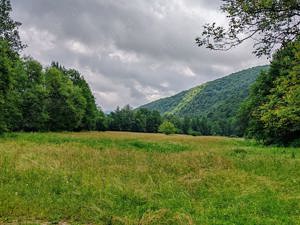 2,8 Ha TEREN SUPERB CU PARAU pe malul Raului Crisul Repede, NEGRENI - CLUJ, Transilvania - ROMANIA