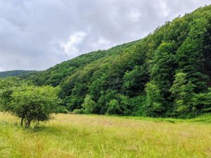 2,8 Ha TEREN SUPERB CU PARAU pe malul Raului Crisul Repede, NEGRENI - CLUJ, Transilvania - ROMANIA - imagine 2