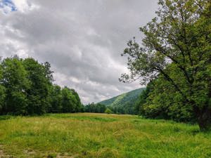 2,8 Ha TEREN SUPERB CU PARAU pe malul Raului Crisul Repede, NEGRENI - CLUJ, Transilvania - ROMANIA - imagine 5