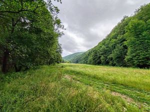 2,8 Ha TEREN SUPERB CU PARAU pe malul Raului Crisul Repede, NEGRENI - CLUJ, Transilvania - ROMANIA - imagine 7