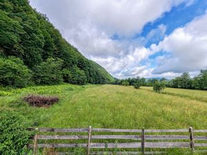 2,8 Ha TEREN SUPERB CU PARAU pe malul Raului Crisul Repede, NEGRENI - CLUJ, Transilvania - ROMANIA - imagine 4