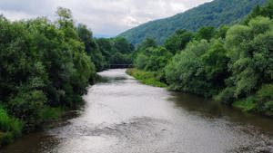 2,8 Ha TEREN SUPERB CU PARAU pe malul Raului Crisul Repede, NEGRENI - CLUJ, Transilvania - ROMANIA - imagine 10