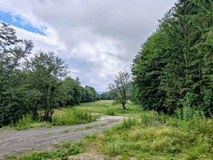 2,8 Ha TEREN SUPERB CU PARAU pe malul Raului Crisul Repede, NEGRENI - CLUJ, Transilvania - ROMANIA - imagine 14