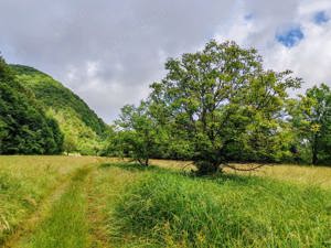 2,8 Ha TEREN SUPERB CU PARAU pe malul Raului Crisul Repede, NEGRENI - CLUJ, Transilvania - ROMANIA - imagine 16