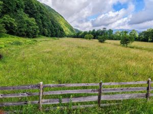 2,8 Ha TEREN SUPERB CU PARAU pe malul Raului Crisul Repede, NEGRENI - CLUJ, Transilvania - ROMANIA - imagine 17