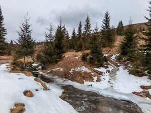 7858 mp TEREN SUPERB CU PARAU SI IZVOARE, Statiunea Turistica Montana Belis - Fantanele, jud. Cluj