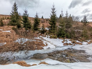 7858 mp TEREN SUPERB CU PARAU SI IZVOARE, Statiunea Turistica Montana Belis - Fantanele, jud. Cluj - imagine 6