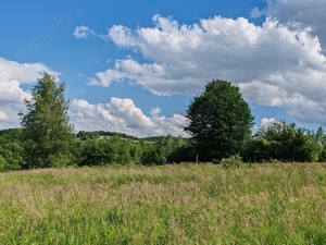 13000 mp (1,3 Ha) TEREN EXTRAVILAN FANEATA, in Muntii Apuseni, NEGRENI, jud. CLUJ, la 5 km de E60  - imagine 2