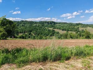 13000 mp (1,3 Ha) TEREN EXTRAVILAN FANEATA, in Muntii Apuseni, NEGRENI, jud. CLUJ, la 5 km de E60  - imagine 9