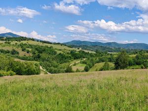 13000 mp (1,3 Ha) TEREN EXTRAVILAN FANEATA, in Muntii Apuseni, NEGRENI, jud. CLUJ, la 5 km de E60  - imagine 3