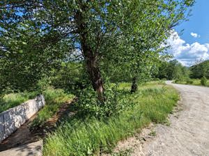 13000 mp (1,3 Ha) TEREN EXTRAVILAN FANEATA, in Muntii Apuseni, NEGRENI, jud. CLUJ, la 5 km de E60  - imagine 11