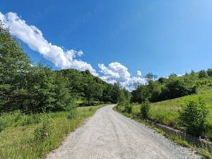 13000 mp (1,3 Ha) TEREN EXTRAVILAN FANEATA, in Muntii Apuseni, NEGRENI, jud. CLUJ, la 5 km de E60  - imagine 8