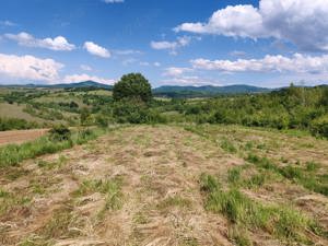 13000 mp (1,3 Ha) TEREN EXTRAVILAN FANEATA, in Muntii Apuseni, NEGRENI, jud. CLUJ, la 5 km de E60  - imagine 6