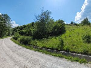 13000 mp (1,3 Ha) TEREN EXTRAVILAN FANEATA, in Muntii Apuseni, NEGRENI, jud. CLUJ, la 5 km de E60  - imagine 4