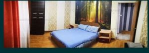 Vanzare Apartament 2 camere in 13 Septembrie, sector 5 - imagine 4