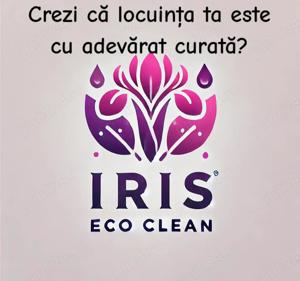 Servicii curățenie| Birouri | Apartamente | După constructor