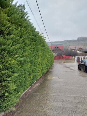 Teren Bucium, 3 minute de Hanul 3 sarmale, la Soseaua Barnova 800mp - PROPRIETAR - imagine 8