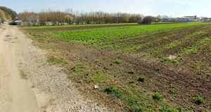 Teren cu utilitati Magurele str. Capricornului - imagine 4