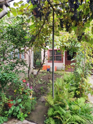 Casă de vânzare, Reghin - imagine 7