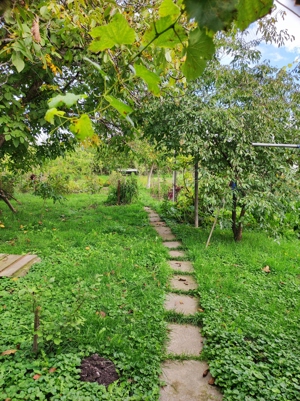 Casă de vânzare, Reghin - imagine 9