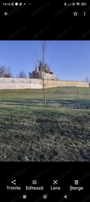 Teren Iași cartier Frumoasă  - imagine 4