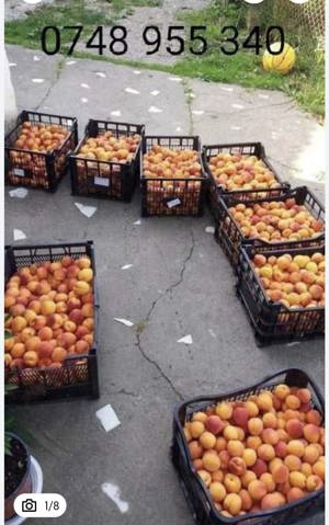 Vanzare Teren agricol - imagine 7