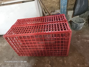 Lazi transport pasari vii - imagine 3