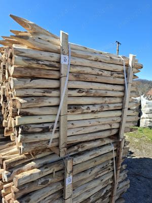 Stalpi rezistenti din lemn de salcam - imagine 3