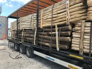 Stalpi rezistenti din lemn de salcam - imagine 5