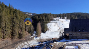 Refugiu Natural: Casă și Teren Înconjurat de Pădure ! - imagine 17