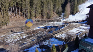 Refugiu Natural: Casă și Teren Înconjurat de Pădure ! - imagine 13