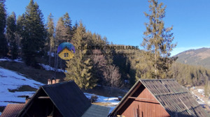 Refugiu Natural: Casă și Teren Înconjurat de Pădure ! - imagine 15