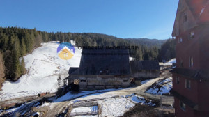 Refugiu Natural: Casă și Teren Înconjurat de Pădure ! - imagine 4