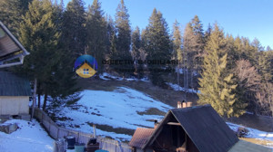 Refugiu Natural: Casă și Teren Înconjurat de Pădure ! - imagine 14