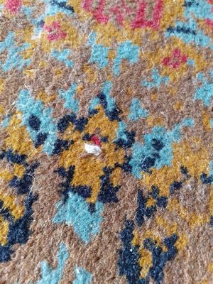 Covor persan din lana 204 311 cm (14cm franjurii) - imagine 5