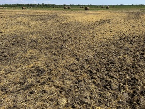 Disc agricol - imagine 9